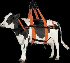 Büyük Baş Hayvan Kurtarma Kemeri